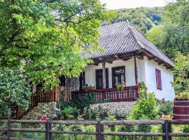 Casuta Fermecata, Tara Lapusului, hotell sihtkohas Fantanele
