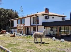 La Maison d'Urbina