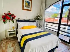 Hotel Presidente Vicente Guerrero