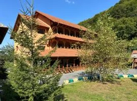 Pensiunea Casa Suciu