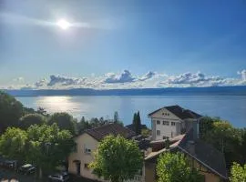 Hôtel Savoie Léman