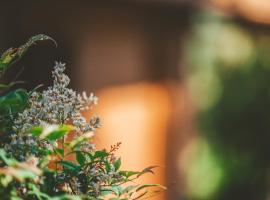 Quinta do Lameiro, hotell sihtkohas Tarouca