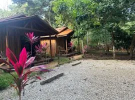 Finca Avellanas