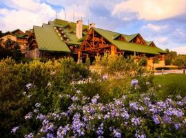 Disney's Wilderness Lodge, hotel v Orlandu