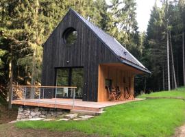 Domek Orlické hory,位于德尔内夫奥里克的酒店