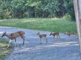 My Hideaways Serinity Hill