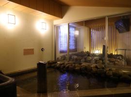 Dormy Inn Tsu, hotel in Tsu