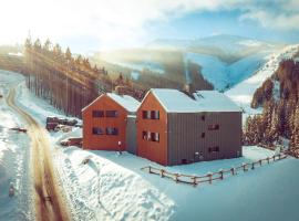 Penzión a Reštaurácia Twin Jasná,位于迪马诺卡多林纳的酒店