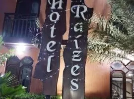 Hotel Raízes