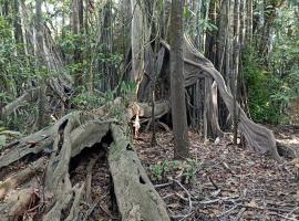 Atacuari Salvaje Tours Amazonas, hotell sihtkohas San Juan de Atacuari