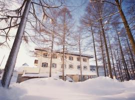 Hotel Eldia Madarao, Hotel in Iiyama