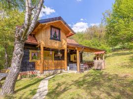 Chalet Birchwood With Whirlpool and Sauna - Happy Rentals, hotel in Hum Breznički