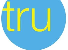 Tru By Hilton Stockbridge