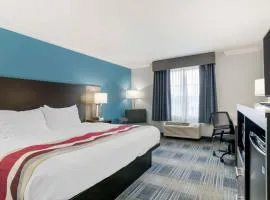 Best Western Medical Center North Inn & Suites Near Six Flags