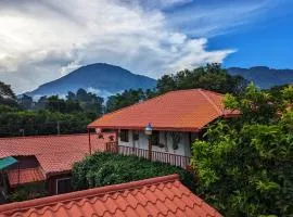 1961 Los Naranjos Hostal