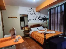 Yanachaga Hotel - Oxapampa