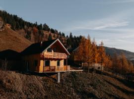 Village Brăduțu, hotell sihtkohas Dămuc