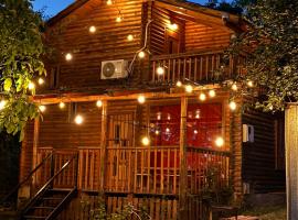 Villzone vila in Prishtina with big garden, ξενοδοχείο στην Πρίστινα