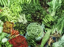 SPOT ON 90179 Moza Inn