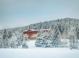 Hotel Partizán, Hotel in Tale