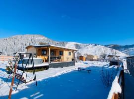 La Casuta din Ciocanesti Art, Hotel in Ciocăneşti