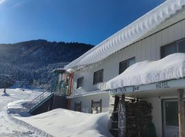 Guest House Shiroikiseki, hotel en Toyama