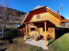 Koča Lipa pod Veliko planino, hotel en Luče