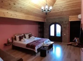 Château Fort de Manavi, Boutique Hotel