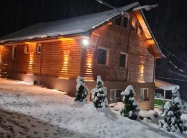 Šumska vila Gašić, Hotel in Kopaonik