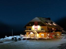 Alpenhotel & Aparthotel Lanz, hotel v destinaci Hohentauern