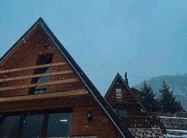 Villat Loni, hotell i Peja