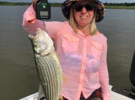 Mlibizi Zambezi Resort，位于Binga的酒店