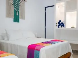 Linda Vecindad Playa del Carmen