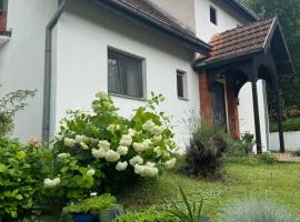 Privatni smeštaj Sobe Branković, ξενοδοχείο σε Gornja Toplica