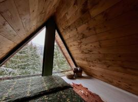 Cabin Apartman, Kopaonik, hotel v destinaci Kopaonik