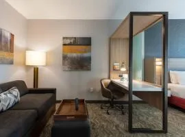 SpringHill Suites by Marriott Chattanooga South/Ringgold
