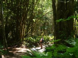 Starlight Olympic Glamping, hotel em Port Angeles