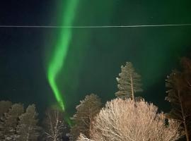 Napapiirin Eräkartano, ξενοδοχείο σε Pello