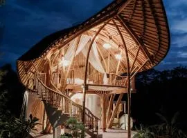 Wiwaka Harmony in Nature