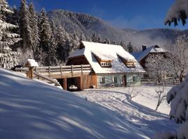 La Lince Lodge, hotel in Camporosso in Valcanale