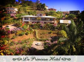 A picture of the hotel: La Princesa Hotel