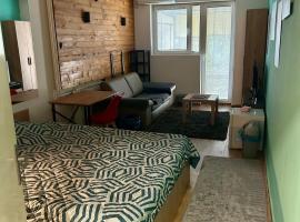 One bedroom condo in Skopje, ξενοδοχείο στα Σκόπια