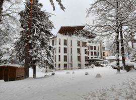 Radina's Way Hotel, hotel in Borovets
