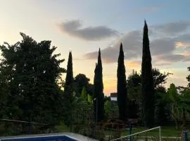 Ecohotel la Floresta