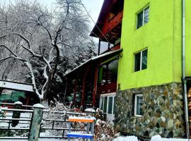 Vila Giulia Voineasa, hotel en Voineasa