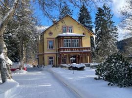 Villa Belvedere, ξενοδοχείο σε Janske Lazne