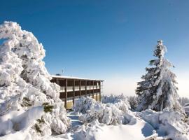 Wellness-& Nationalpark Hotel Schliffkopf, BWSC, khách sạn ở Baiersbronn