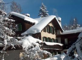 Foto di Hotel: FERIENWOHNUNGEN Chalet Hohturnen