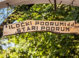 Hotel Photo: Hotel Stari Podrum