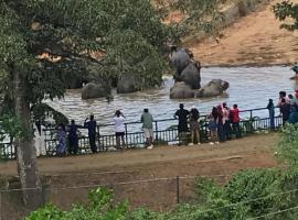 Pinnawala Elephant Front View Hotel, ξενοδοχείο σε Rambukkana